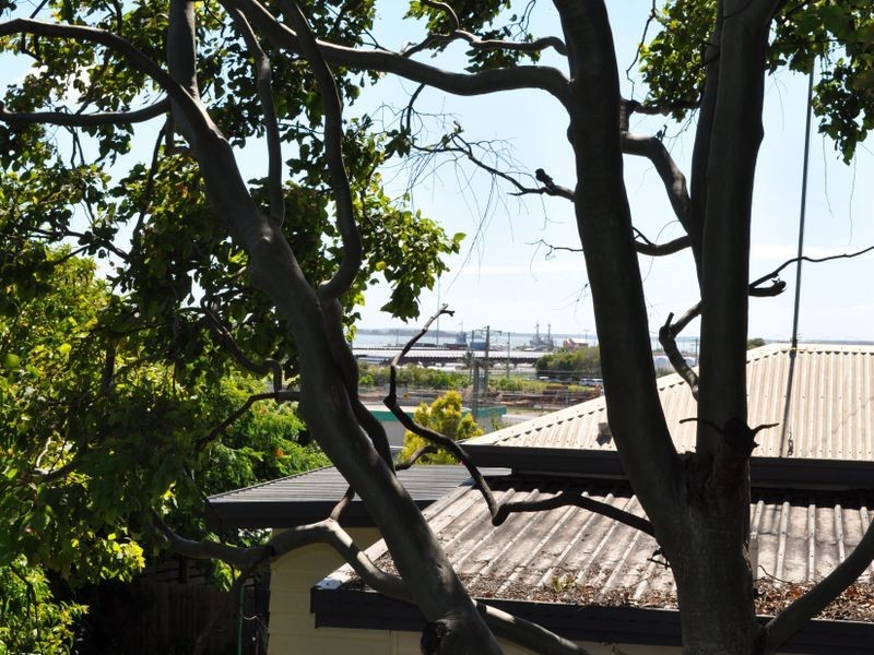 1/8 Roseberry Street, Gladstone QLD 4680