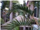 37 Glen Eden Drive, Glen Eden QLD 4680