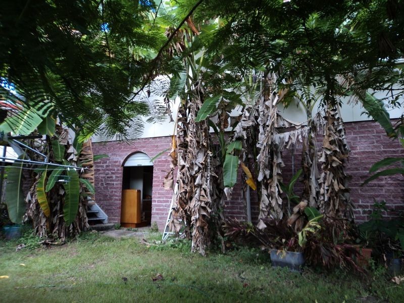 29 Willow Street, New Auckland QLD 4680