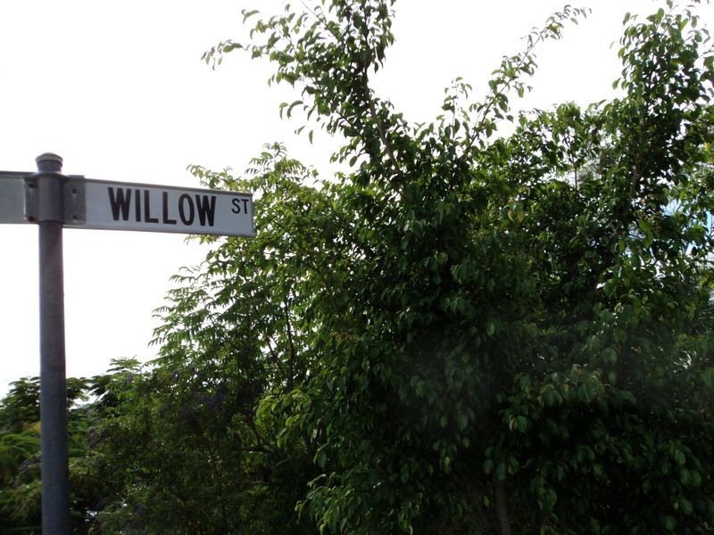 29 Willow Street, New Auckland QLD 4680