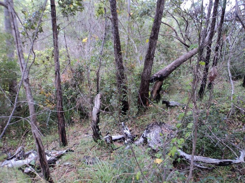 Lot 12 Dillon Road, Agnes Water QLD 4677