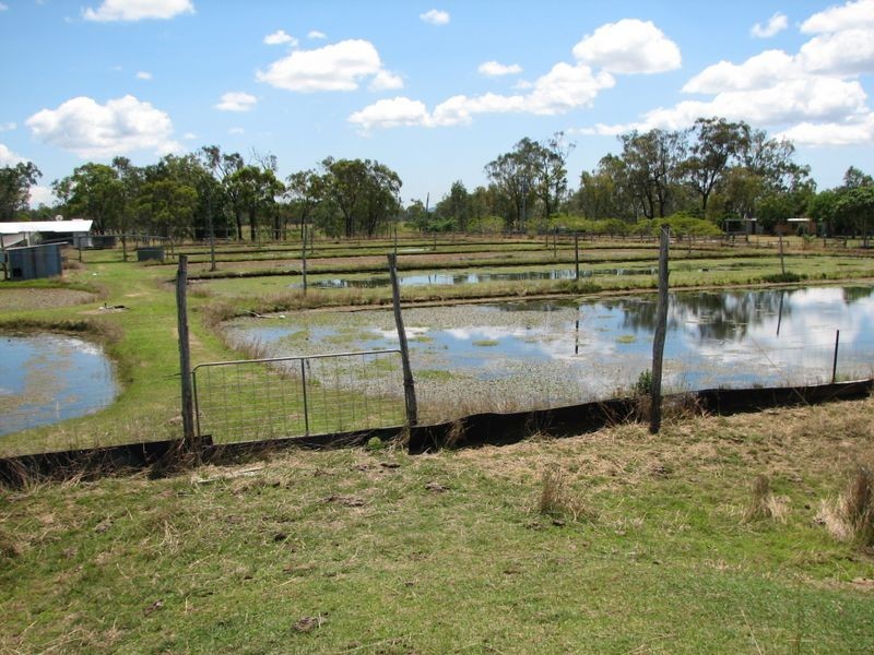 3316 Dawson Highway, Wooderson QLD 4680