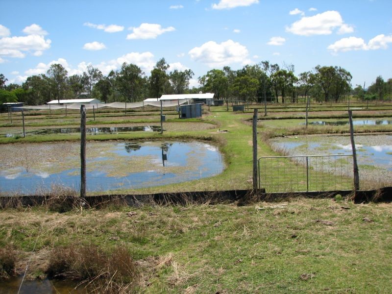 3316 Dawson Highway, Wooderson QLD 4680