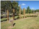 1 Eastwood Street, West Gladstone QLD 4680