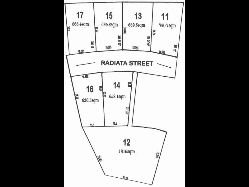 17 Radiata Street, New Auckland QLD 4680