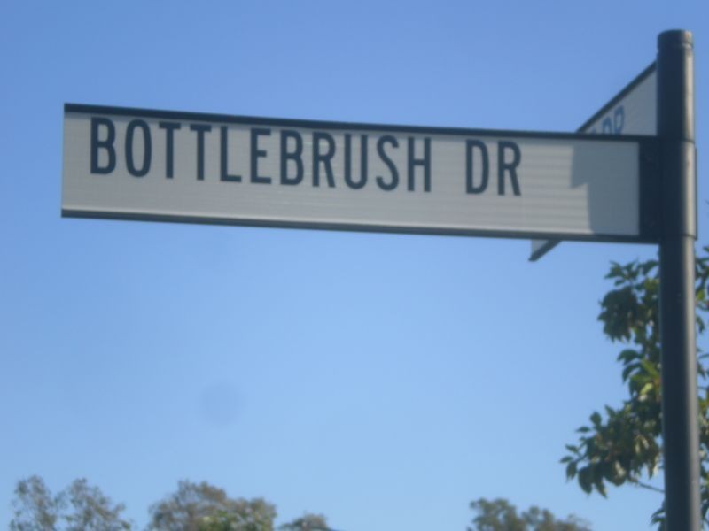 11 Bottlebrush Drive, Kirkwood QLD 4680