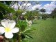 Gladstone QLD 4680