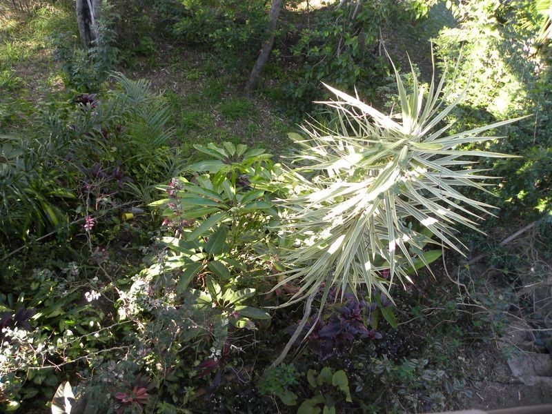 48 Cockatoo Drive, Gladstone QLD 4680