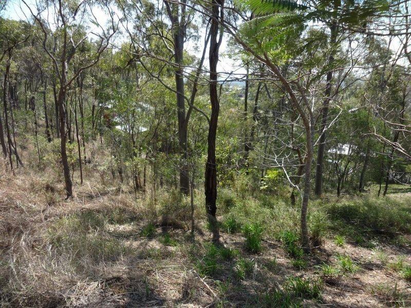 20 Dame Pattie Avenue, Clinton QLD 4680