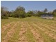 124 Schulze Road, Gladstone QLD 4680