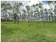 Lot 4 Daisy Dell Road, Iveragh QLD 4680