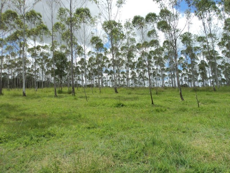 Lot 4 Daisy Dell Road, Iveragh QLD 4680