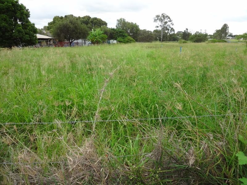 40 Muirhead Street, Calliope QLD 4680