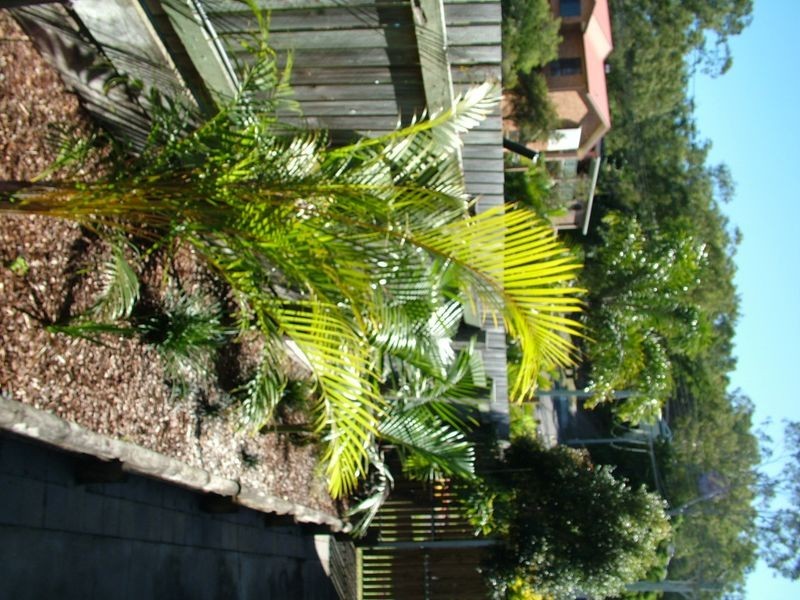 82 Elizabeth Street, South Gladstone QLD 4680