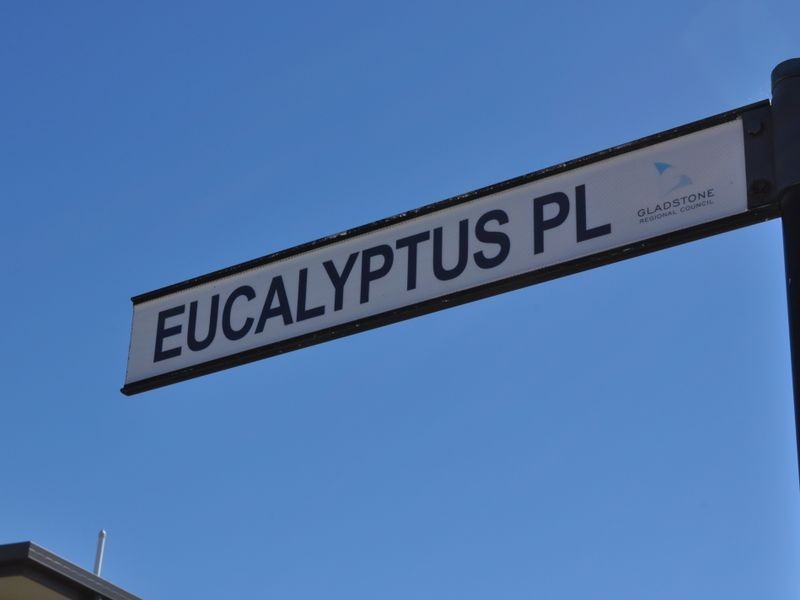 6 Eucalyptus Place, Kirkwood QLD 4680