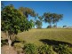 26 Walker Drive, Calliope QLD 4680