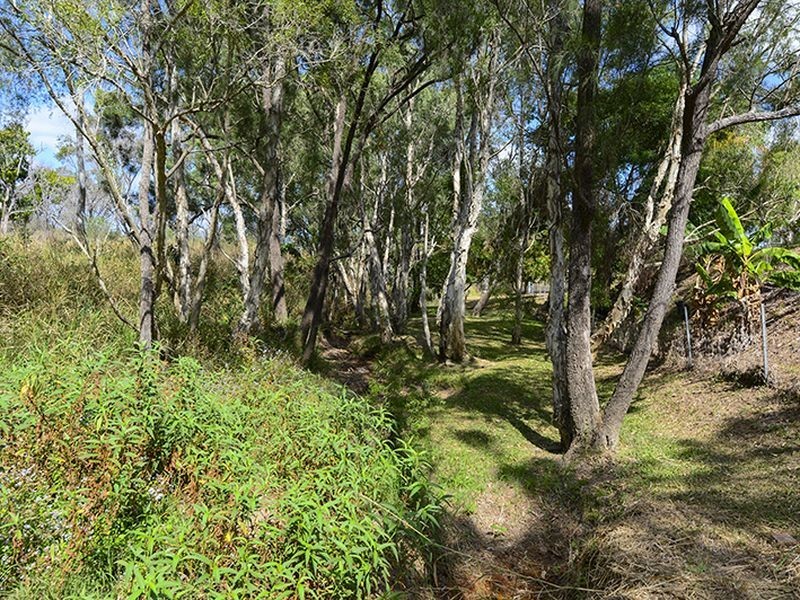 3 Jordana Court, Wurdong Heights QLD 4680