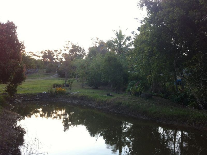 3 Jordana Court, Wurdong Heights QLD 4680