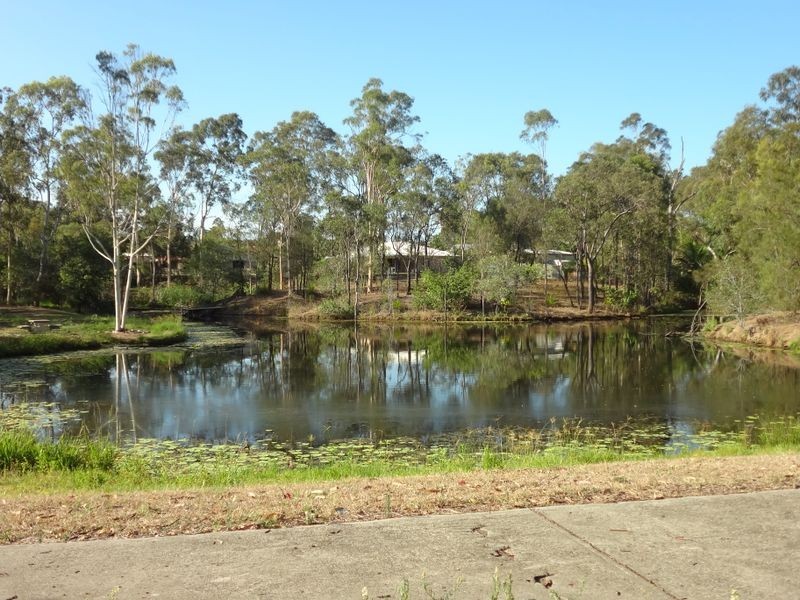 2 Woollybutt Street, New Auckland QLD 4680