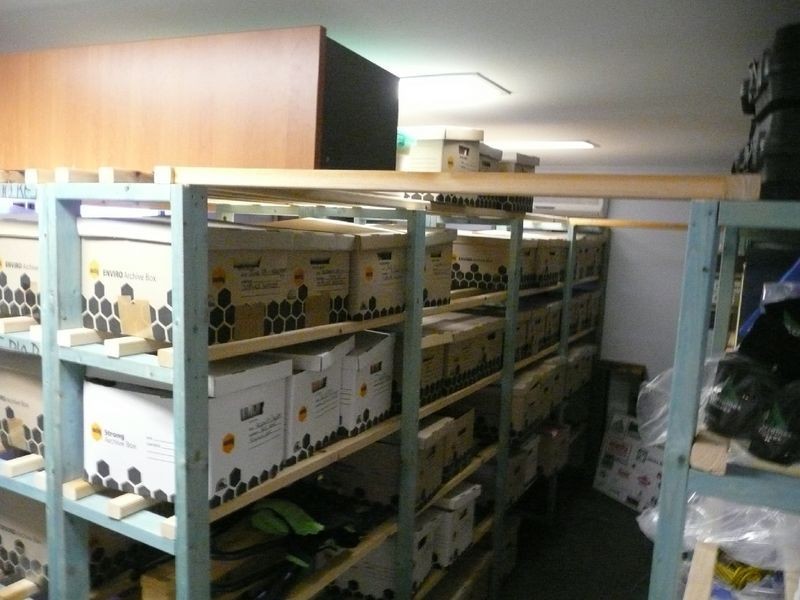 7 Garfield Street, Callemondah QLD 4680