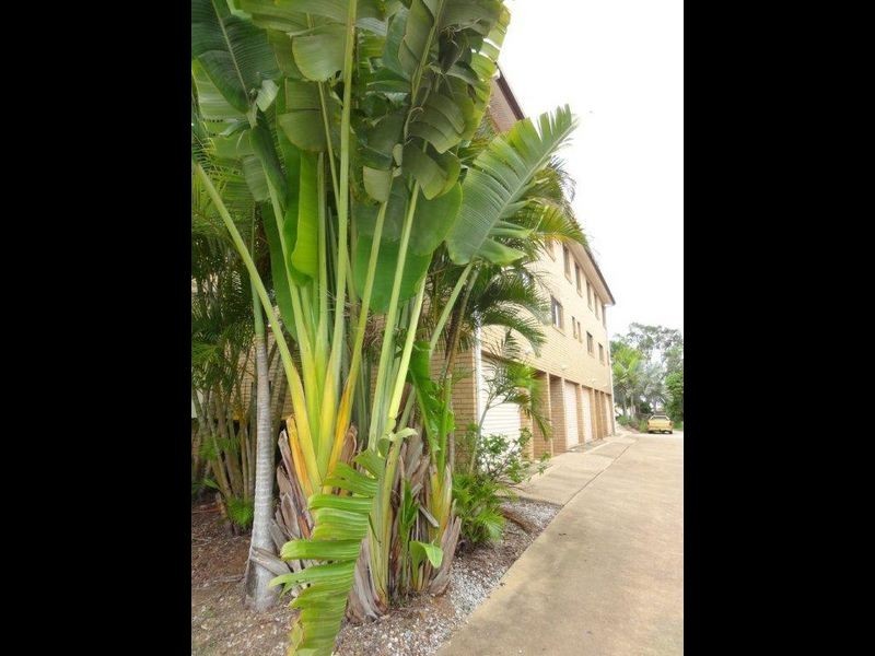 7/36 Kent Street, West Gladstone QLD 4680