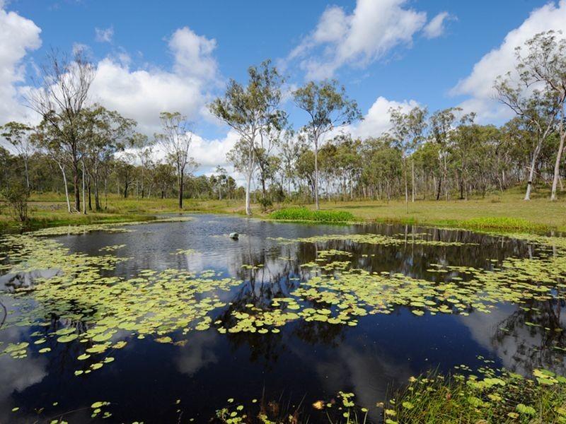 241 Awoonga Dam Drive, Benaraby QLD 4680