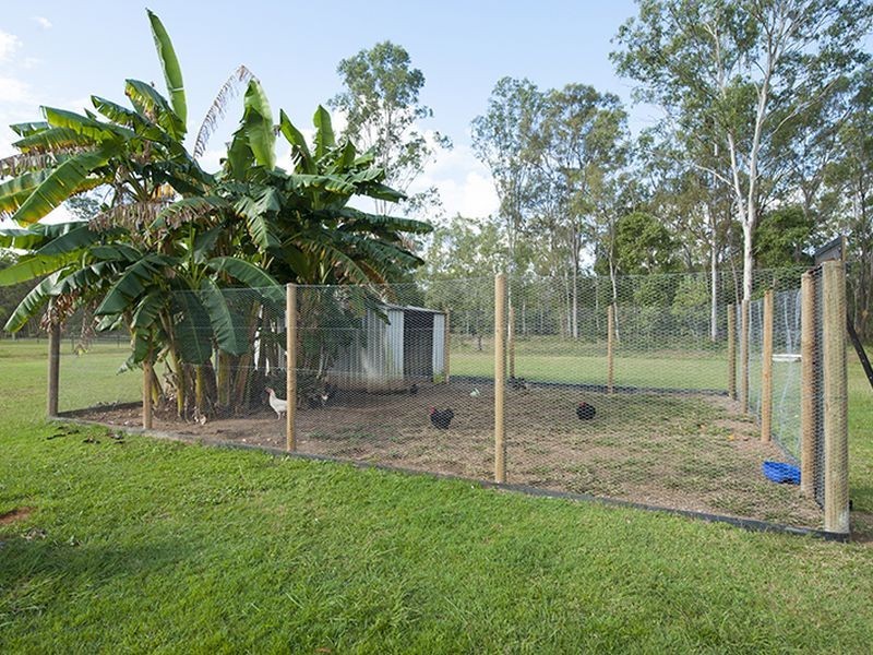 25 Chamberlain Road, Burua QLD 4680