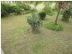 33 Turtle Street, Curtis Island QLD 4680