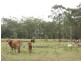 Lot 30 Red Hill Road, Bororen QLD 4678