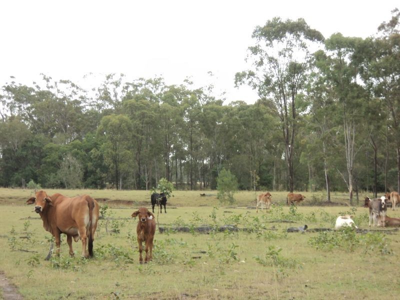 Lot 30 Red Hill Road, Bororen QLD 4678