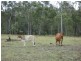 Lot 30 Red Hill Road, Bororen QLD 4678