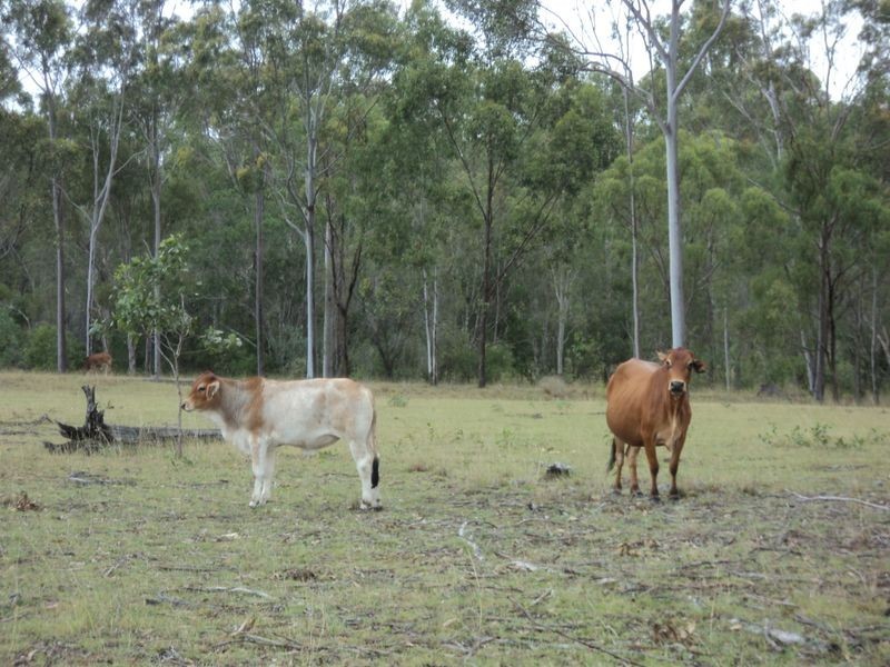 Lot 30 Red Hill Road, Bororen QLD 4678