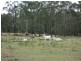 Lot 30 Red Hill Road, Bororen QLD 4678