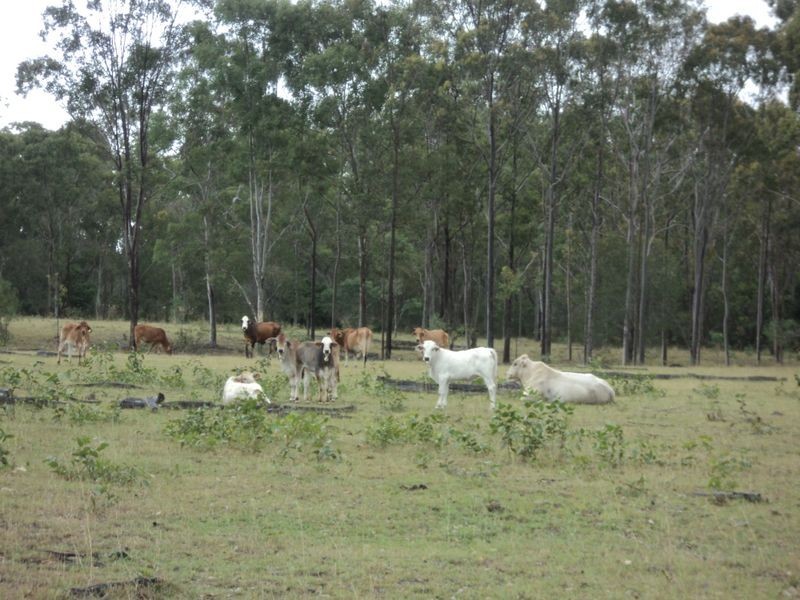 Lot 30 Red Hill Road, Bororen QLD 4678