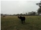 Lot 30 Red Hill Road, Bororen QLD 4678