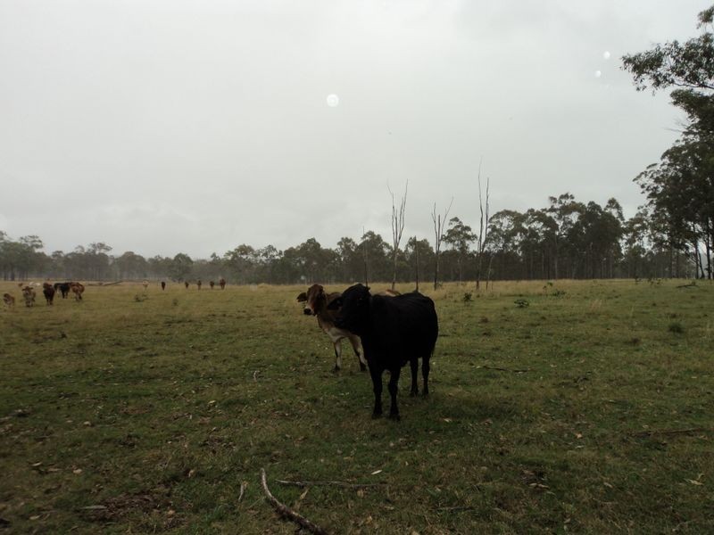 Lot 30 Red Hill Road, Bororen QLD 4678