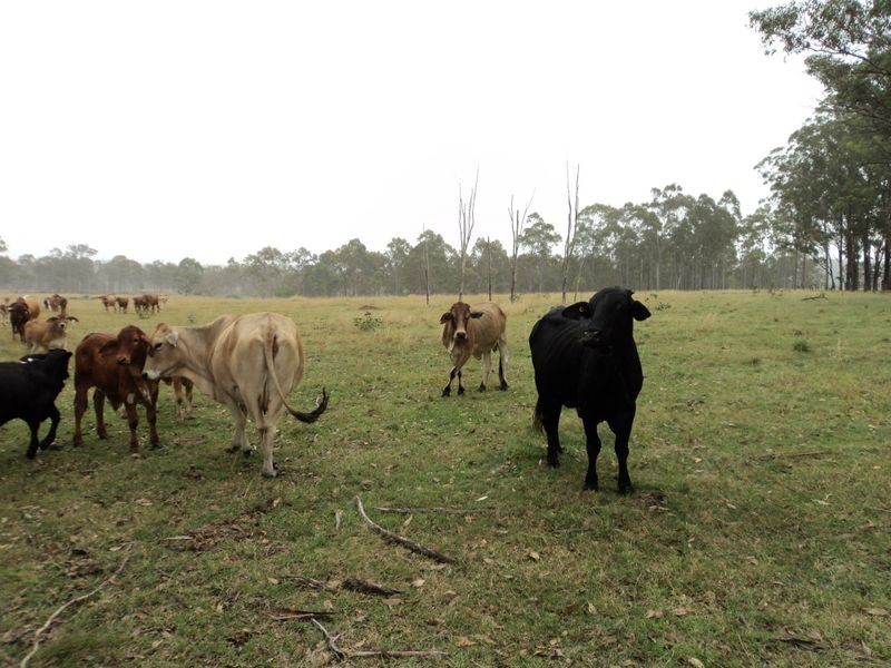 Lot 30 Red Hill Road, Bororen QLD 4678