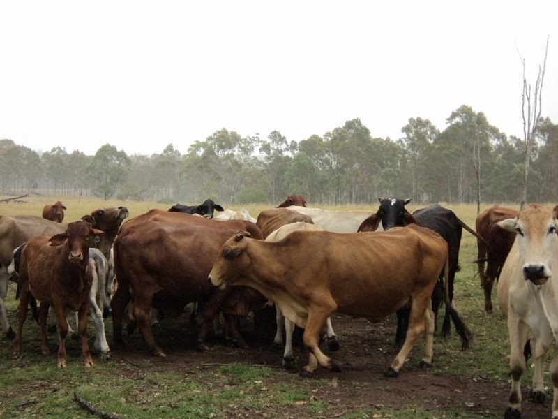 Lot 30 Red Hill Road, Bororen QLD 4678