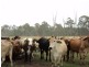 Lot 30 Red Hill Road, Bororen QLD 4678