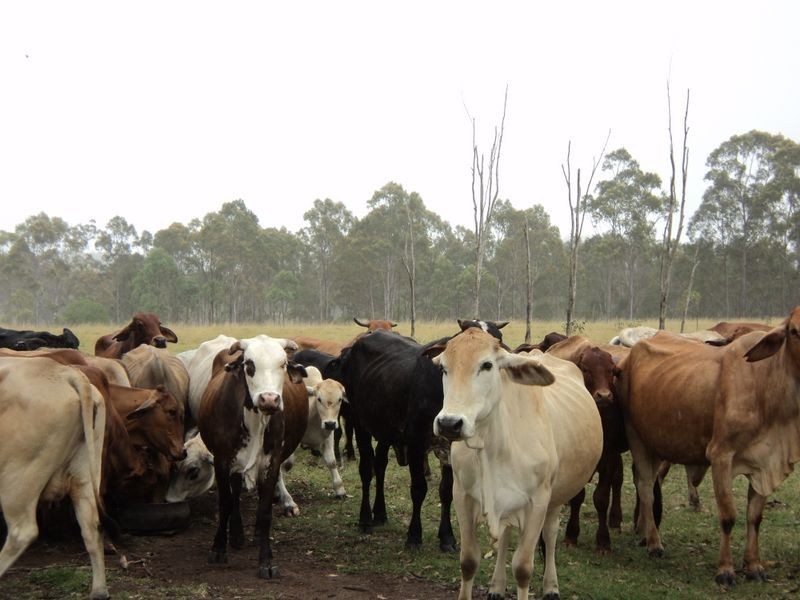Lot 30 Red Hill Road, Bororen QLD 4678