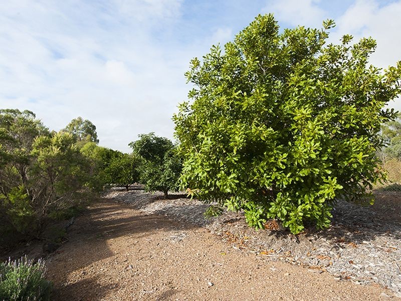 49151 Bruce Highway, Benaraby QLD 4680