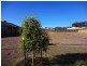 9 Bragg Court, Kirkwood QLD 4680