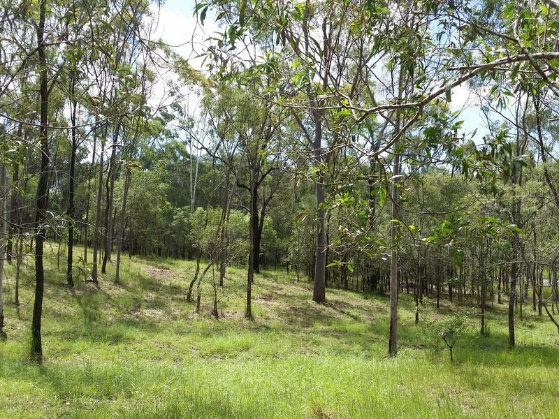 Proposed -Lot 4 Wyndham Road, Beecher QLD 4680