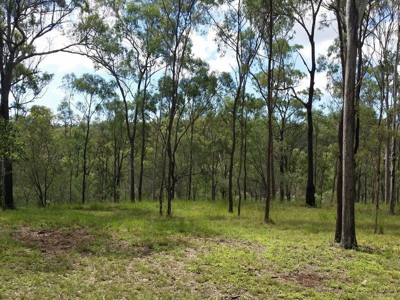 Proposed -Lot 4 Wyndham Road, Beecher QLD 4680