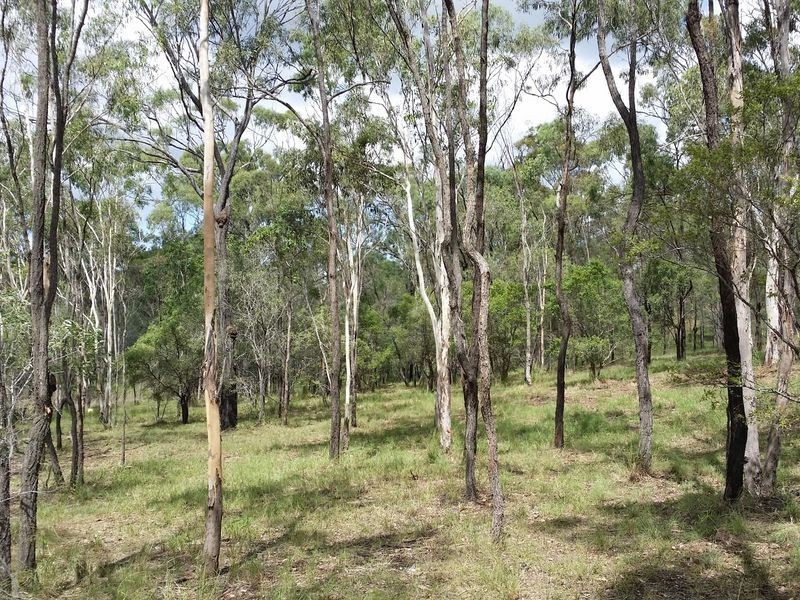 Proposed -Lot 4 Wyndham Road, Beecher QLD 4680