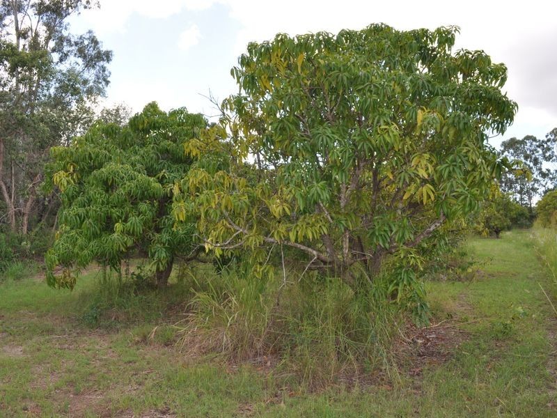 114 Schulze Road, Beecher QLD 4680