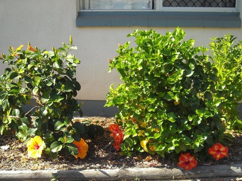 4/80 ANN STREET, Gladstone QLD 4680