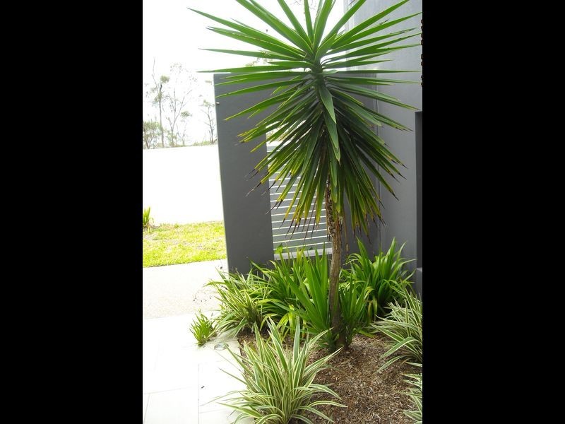 1 Dolphin Terrace, Gladstone QLD 4680