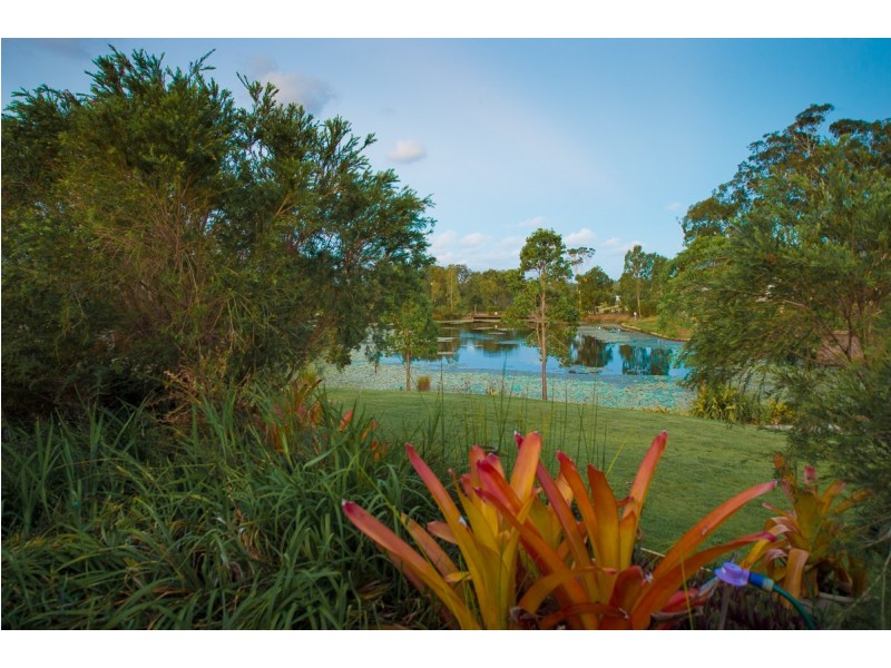 11 Grasstree Crescent, Kirkwood QLD 4680