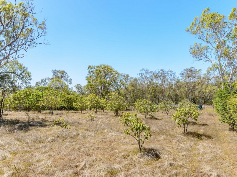179 Chamberlain Road, Burua QLD 4680